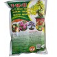 Npk 17-17-17 - Kích nụ mai, tạo nút kim