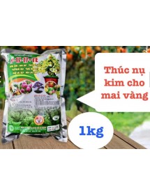 Npk 17-17-17 - K&iacute;ch nụ mai, tạo n&uacute;t kim