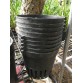 Chậu nhựa KÍN LỖ size 12-14-20 cm
